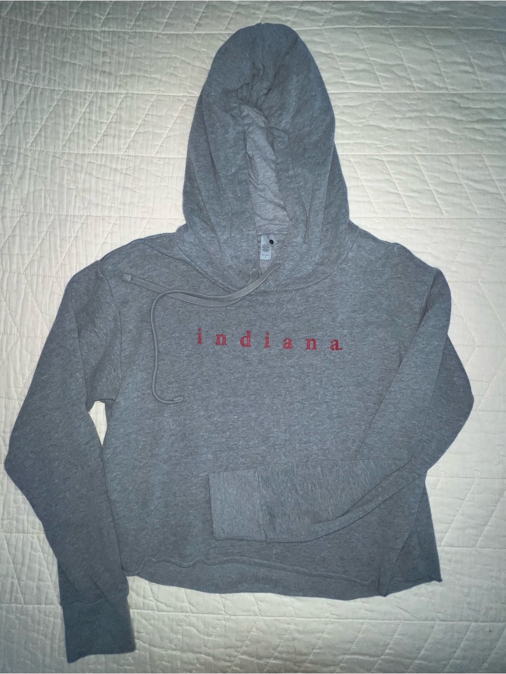 Next Level Apparel Gray Hoodie Sweater with Red Indiana Lettering